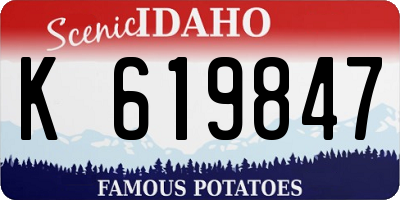 ID license plate K619847