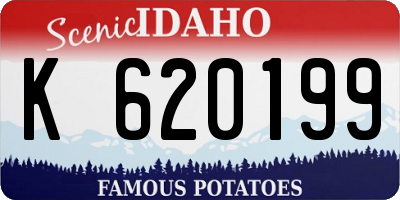 ID license plate K620199