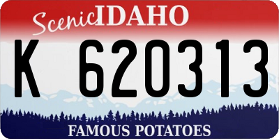 ID license plate K620313