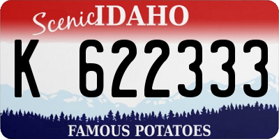 ID license plate K622333