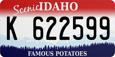 ID license plate K622599