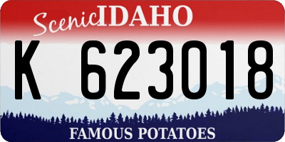 ID license plate K623018