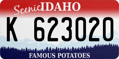ID license plate K623020