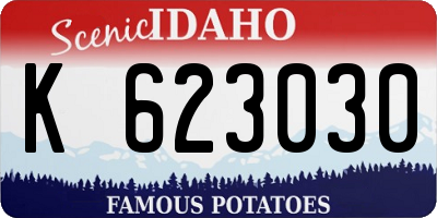 ID license plate K623030