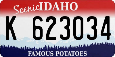 ID license plate K623034