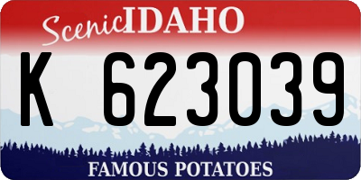 ID license plate K623039
