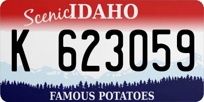 ID license plate K623059