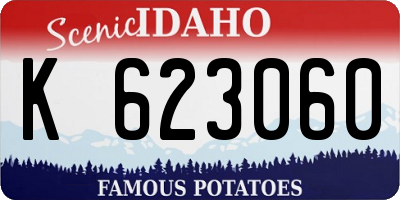 ID license plate K623060