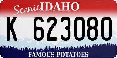 ID license plate K623080