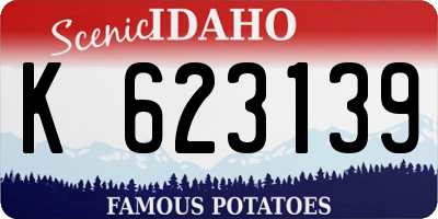 ID license plate K623139
