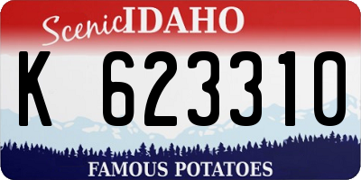 ID license plate K623310