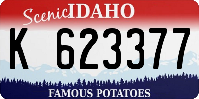ID license plate K623377