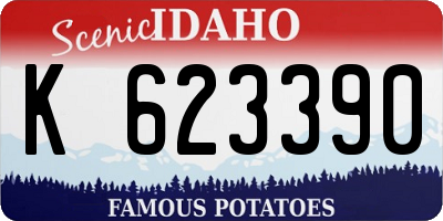 ID license plate K623390