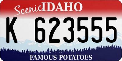 ID license plate K623555
