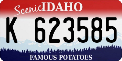 ID license plate K623585