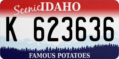 ID license plate K623636