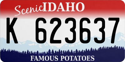 ID license plate K623637