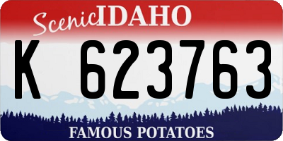 ID license plate K623763