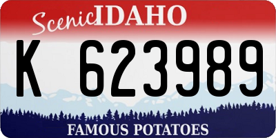 ID license plate K623989