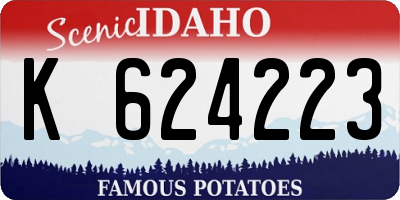 ID license plate K624223