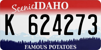 ID license plate K624273