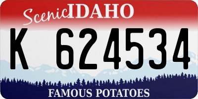 ID license plate K624534