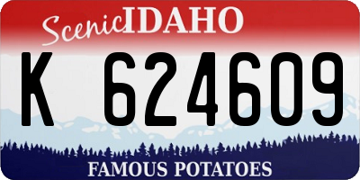 ID license plate K624609