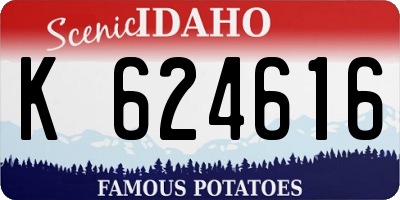 ID license plate K624616