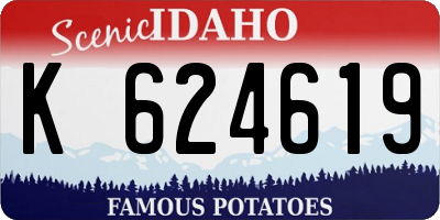 ID license plate K624619