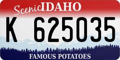 ID license plate K625035