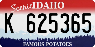 ID license plate K625365