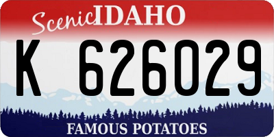 ID license plate K626029