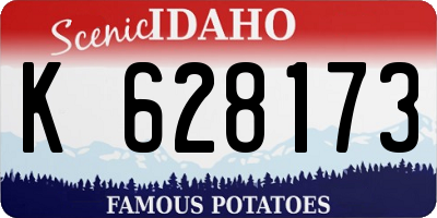 ID license plate K628173
