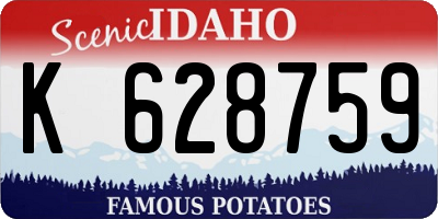 ID license plate K628759