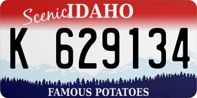 ID license plate K629134