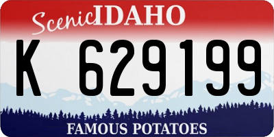 ID license plate K629199