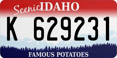 ID license plate K629231