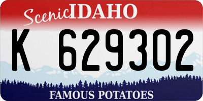 ID license plate K629302