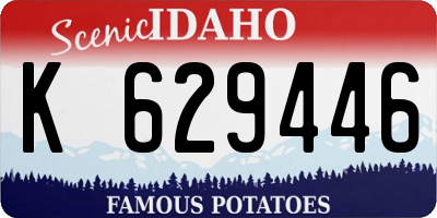 ID license plate K629446