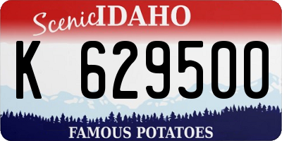 ID license plate K629500