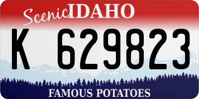 ID license plate K629823