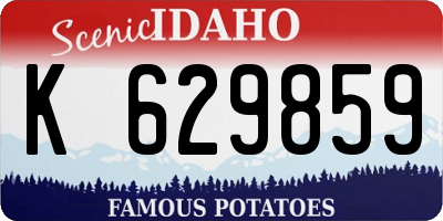 ID license plate K629859