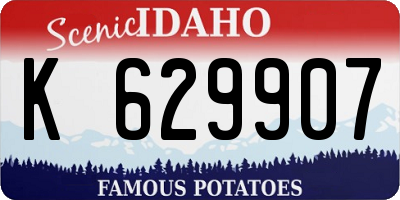 ID license plate K629907
