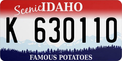 ID license plate K630110