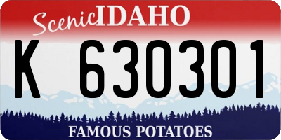 ID license plate K630301
