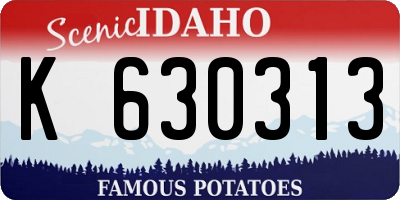 ID license plate K630313