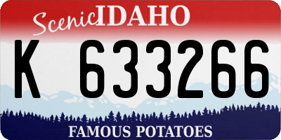 ID license plate K633266