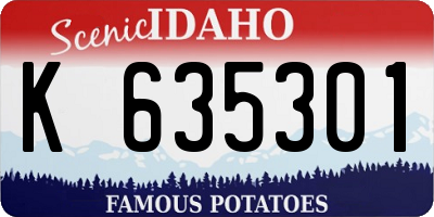 ID license plate K635301