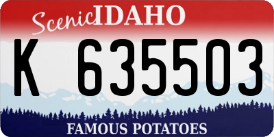 ID license plate K635503