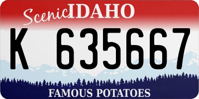 ID license plate K635667